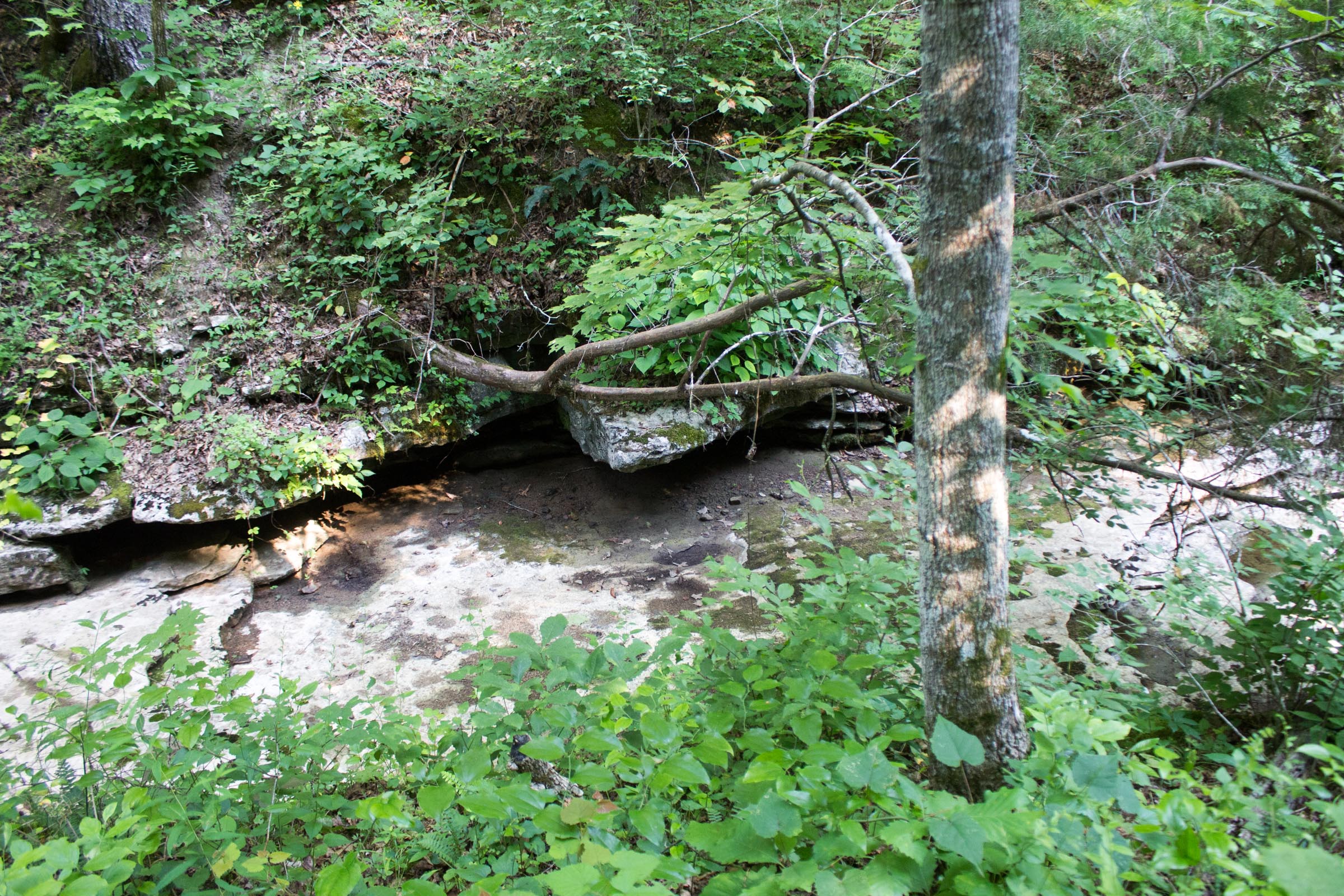 Tract 1 at Buck Run Ridge in Wayne County, Kentucky
