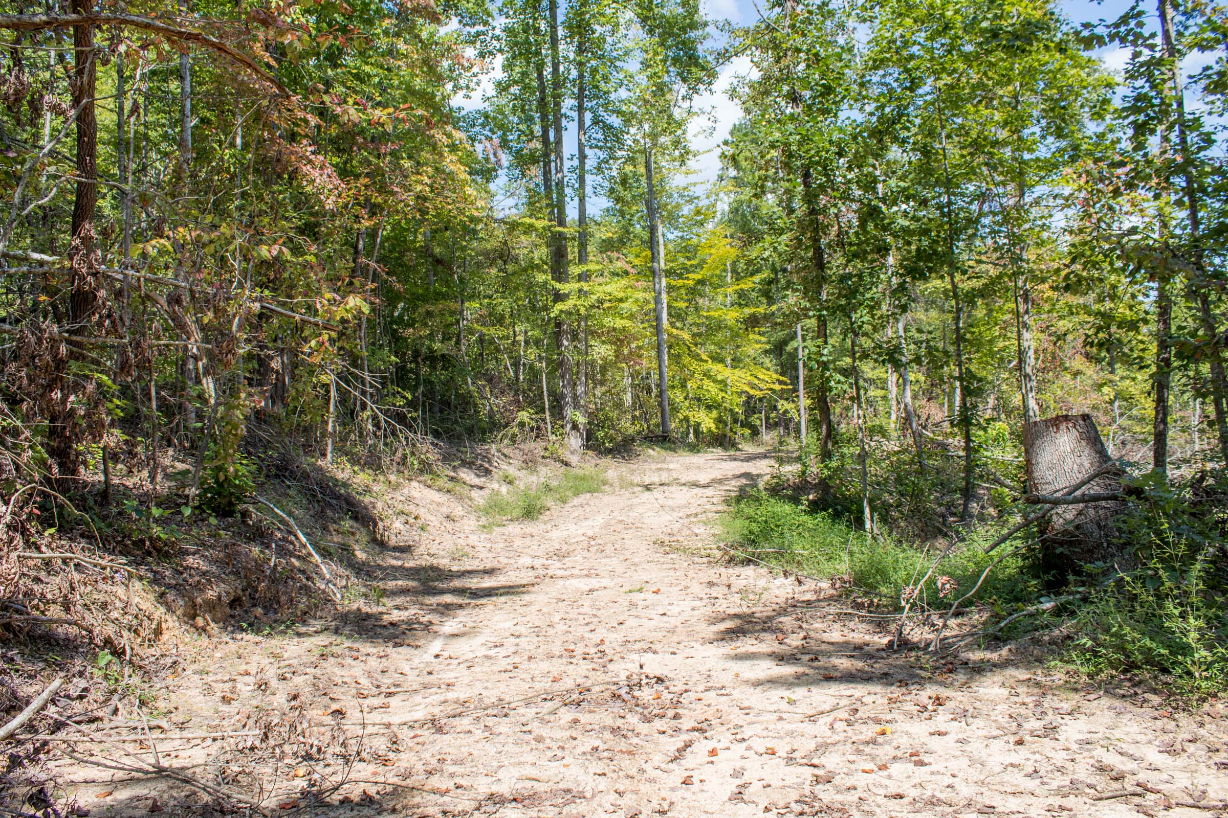Tract 12 at Buck Run Ridge in Wayne County, Kentucky