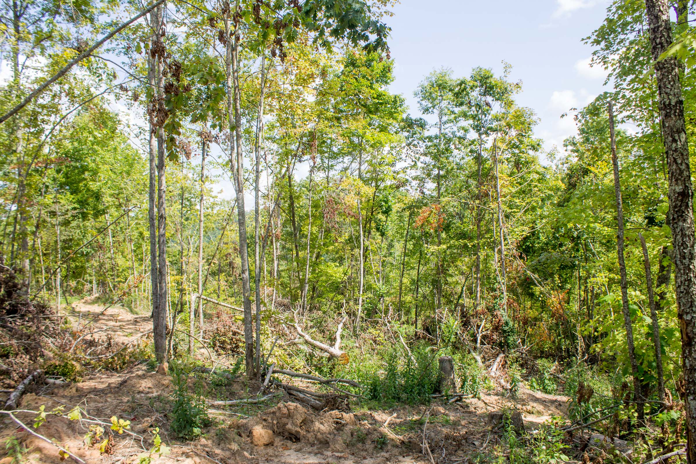 Tract 14 at Buck Run Ridge in Wayne County, Kentucky