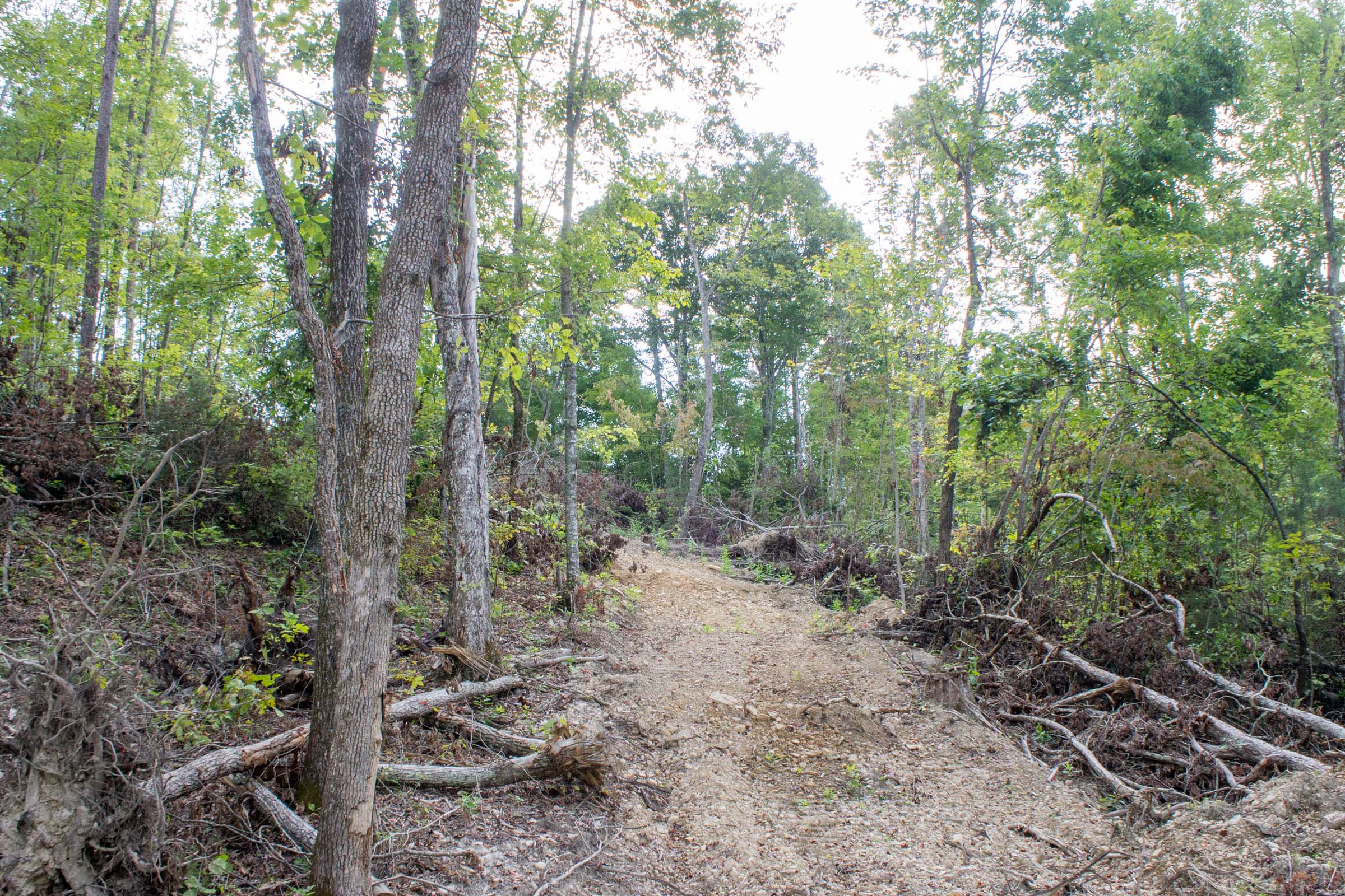 Tract 16 at Buck Run Ridge in Wayne County, Kentucky
