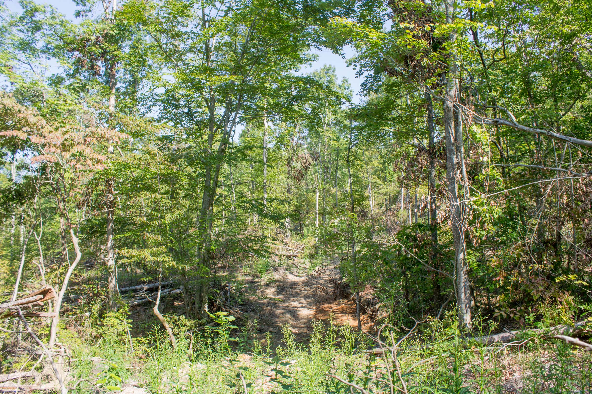 Tract 19 at Buck Run Ridge in Wayne County, Kentucky