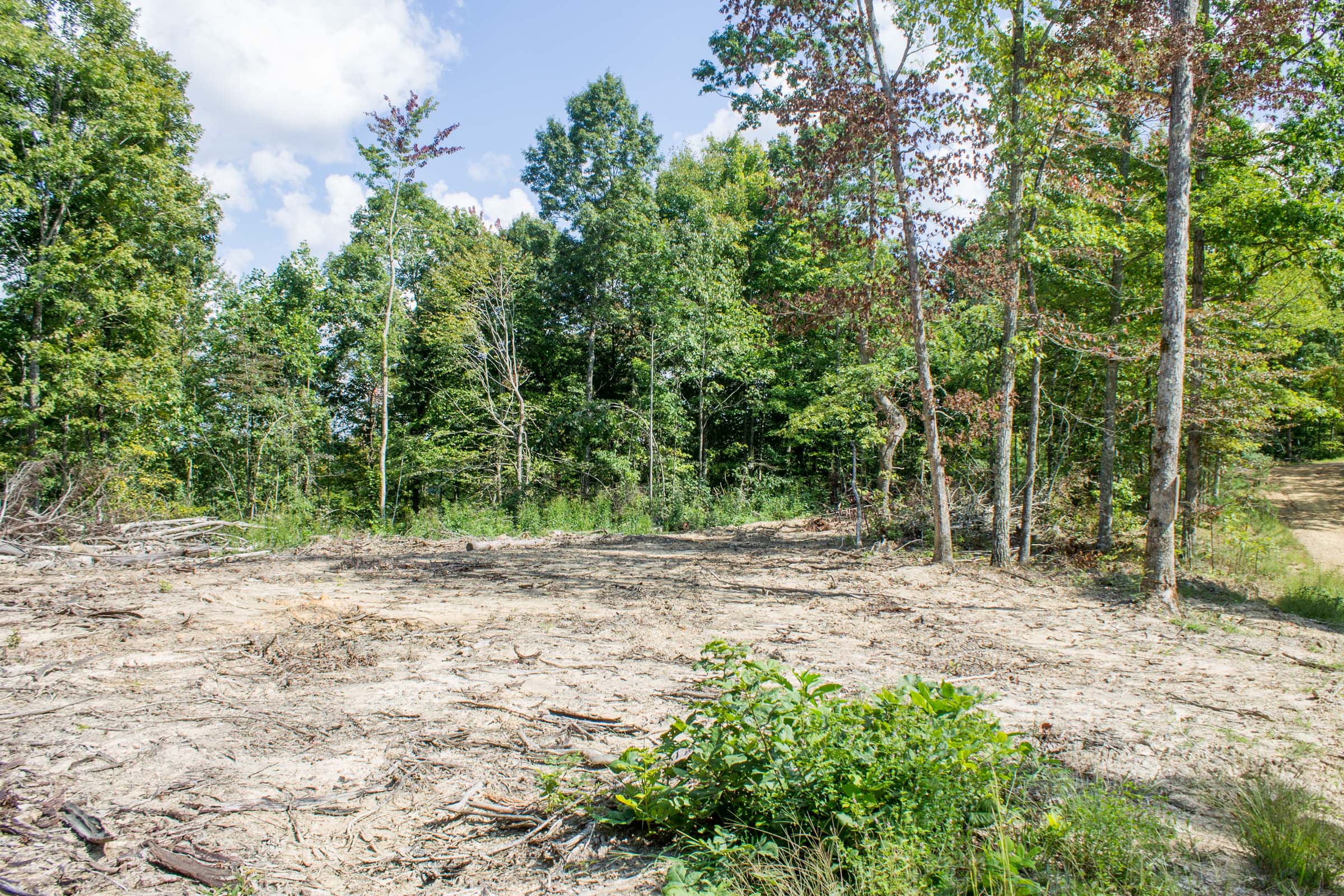 Tract 2 at Buck Run Ridge in Wayne County, Kentucky
