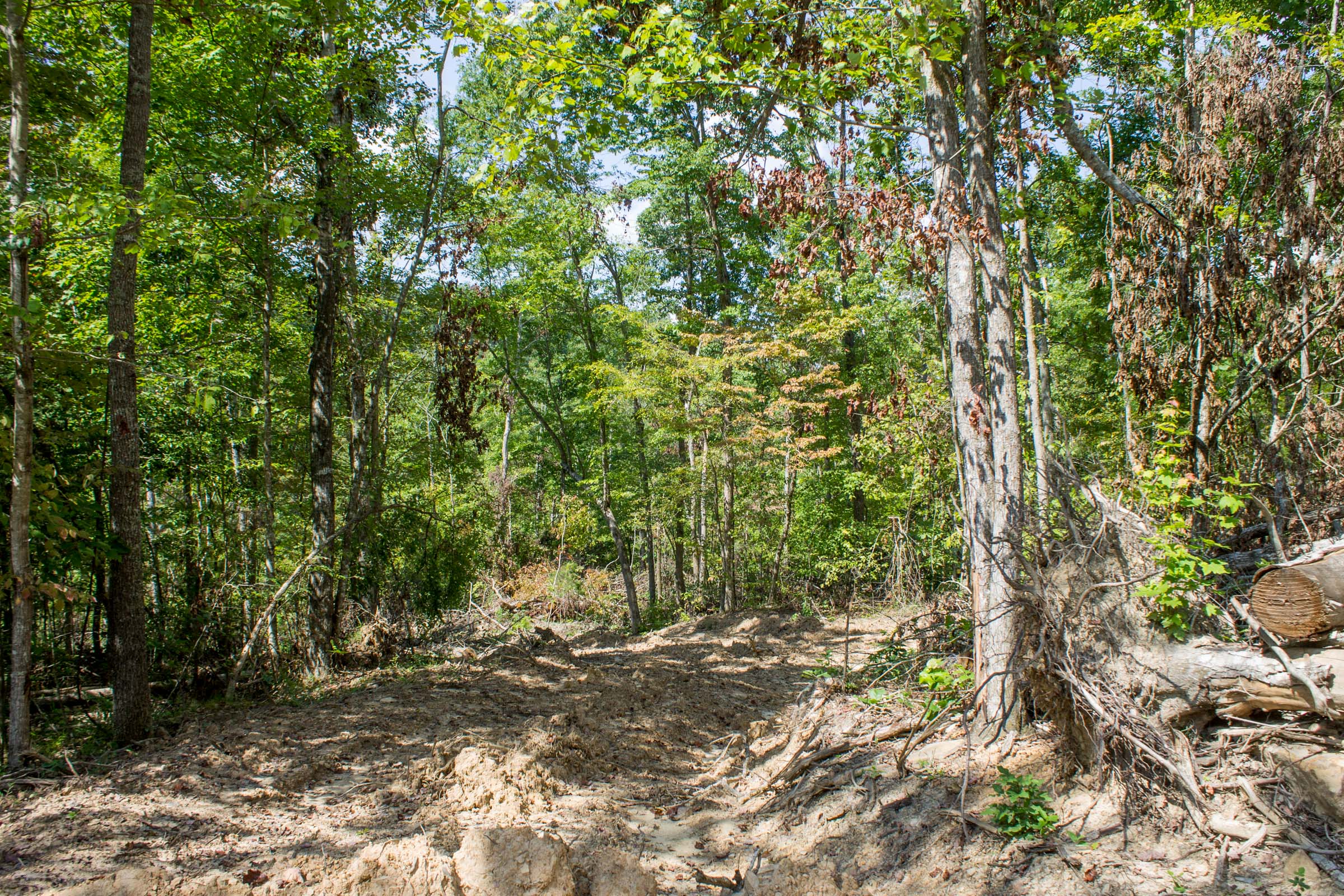 Tract 20 at Buck Run Ridge in Wayne County, Kentucky