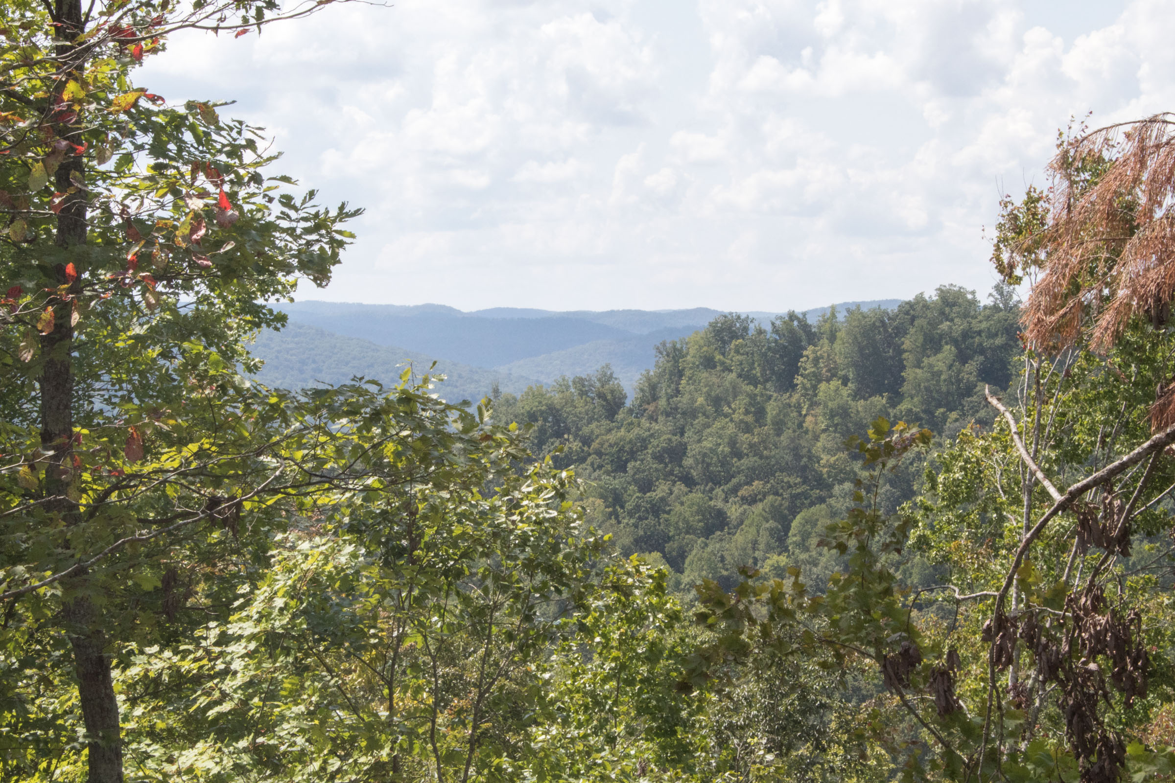 Tract 25 at Buck Run Ridge in Wayne County, Kentucky