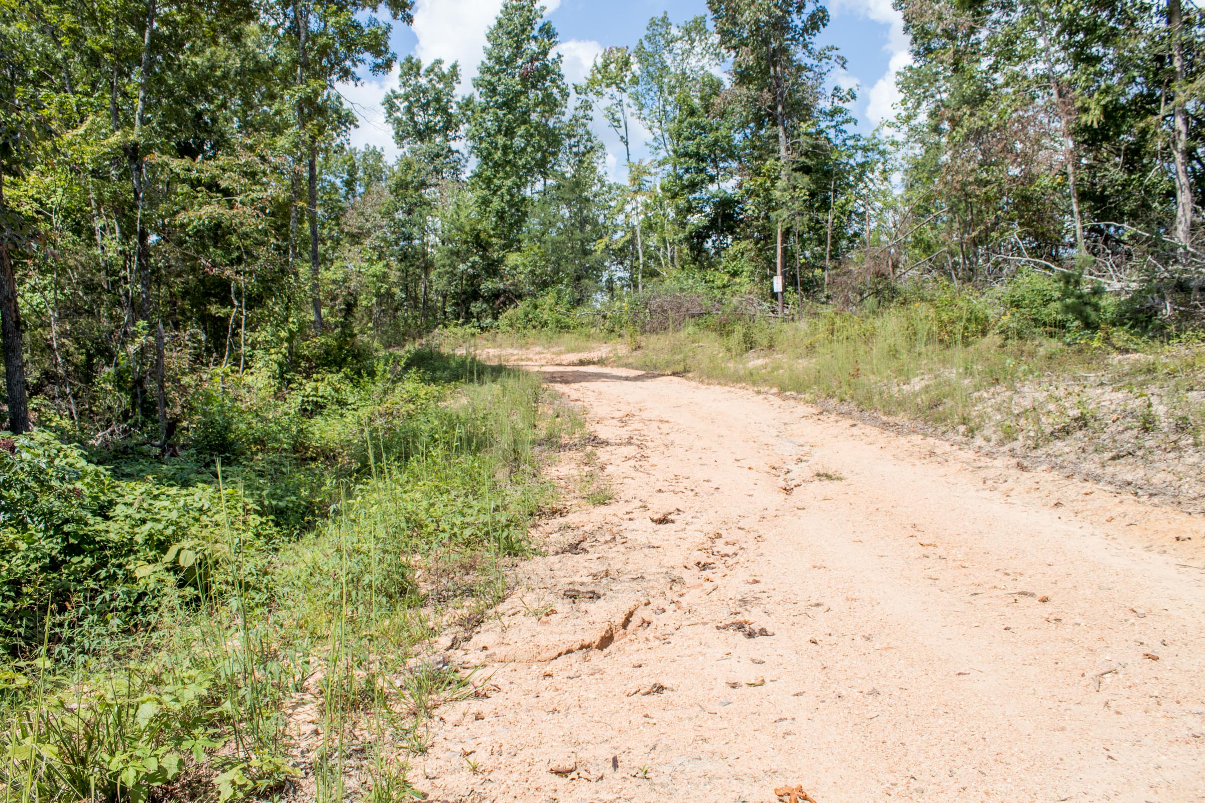 Tract 26 at Buck Run Ridge in Wayne County, Kentucky