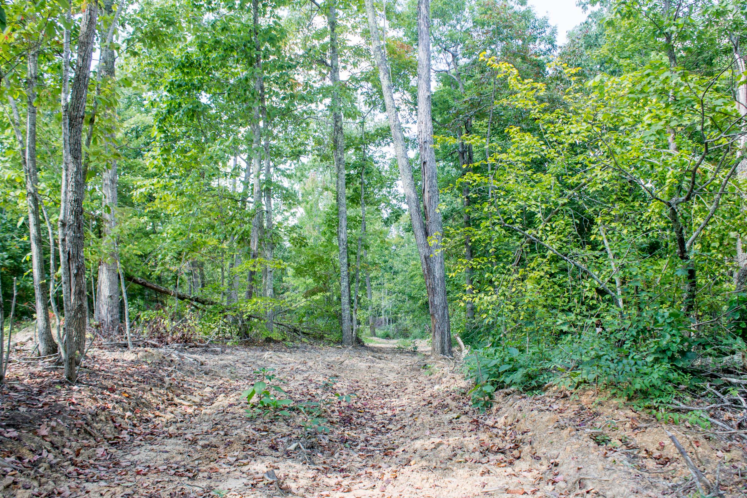 Tract 3 at Buck Run Ridge in Wayne County, Kentucky