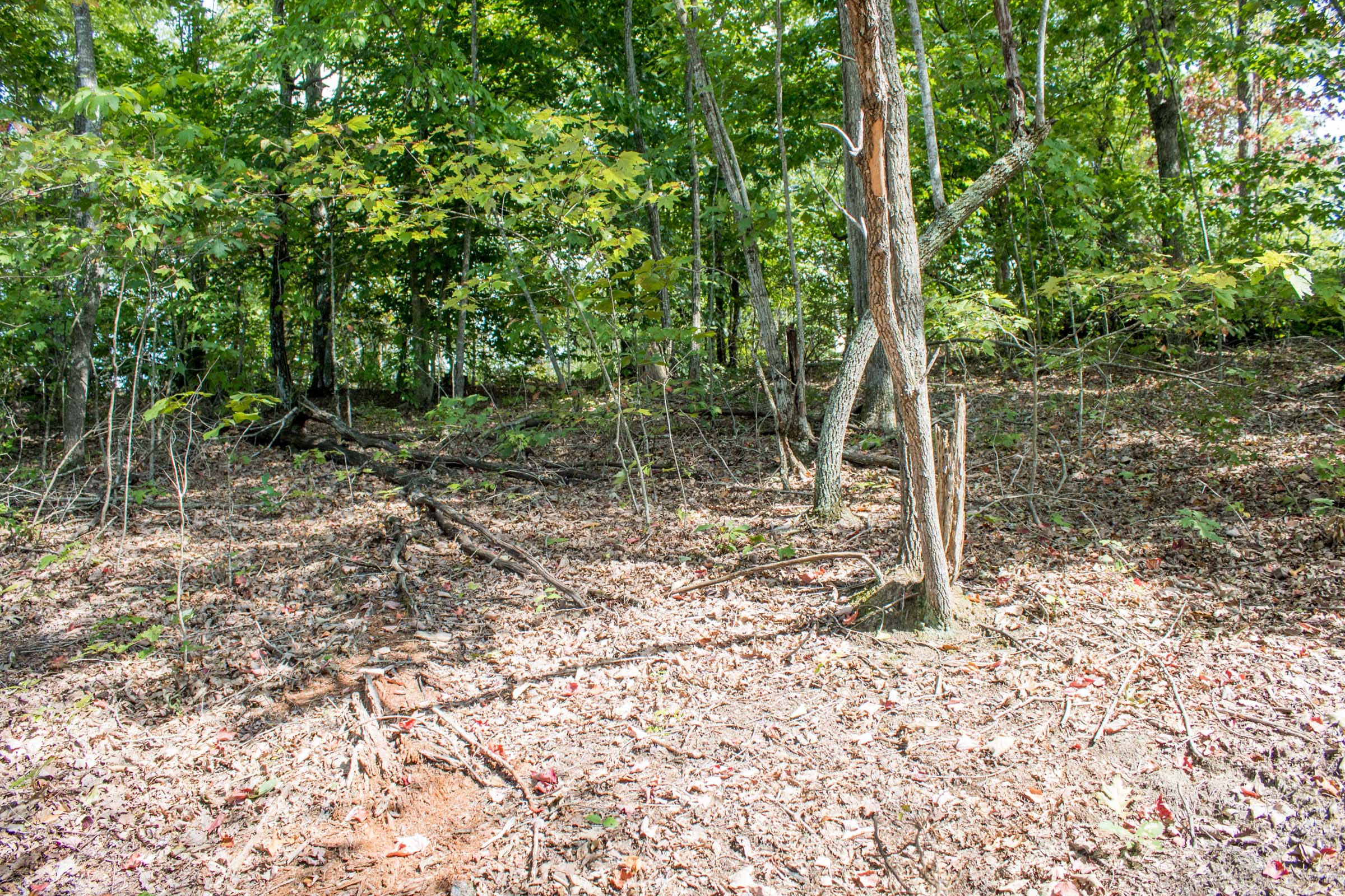 Tract 30 at Buck Run Ridge in Wayne County, Kentucky
