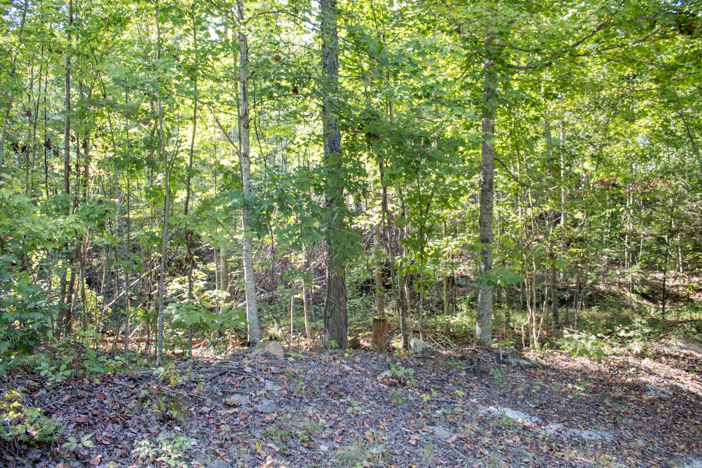 Tract 33 at Buck Run Ridge in Wayne County, Kentucky