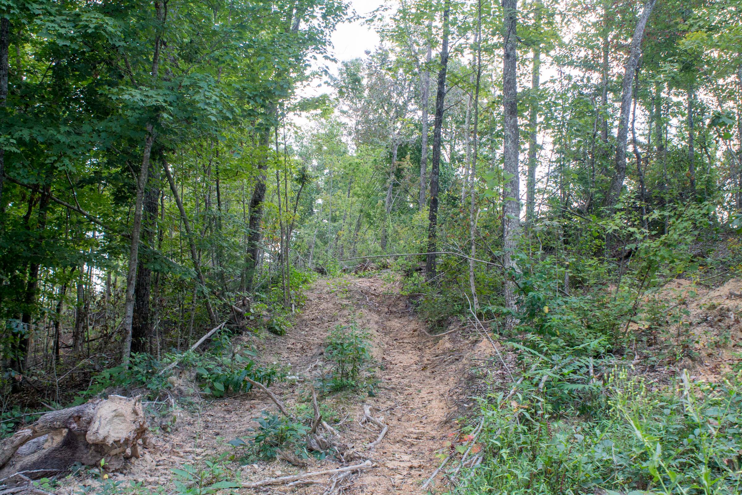 Tract 5 at Buck Run Ridge in Wayne County, Kentucky