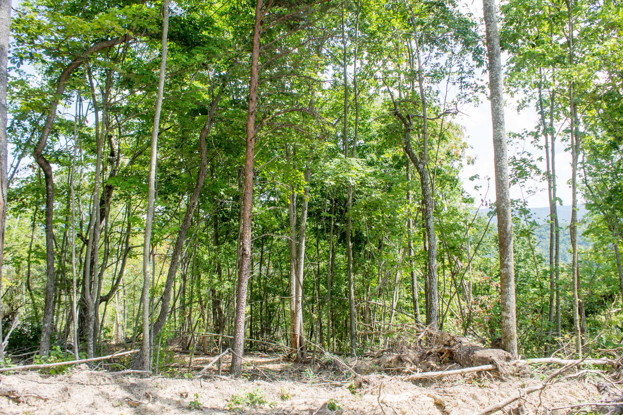 Tract 7 at Buck Run Ridge in Wayne County, Kentucky